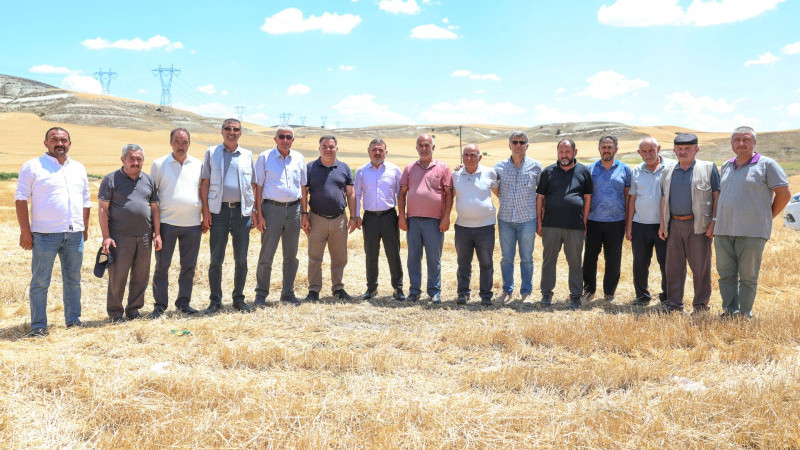 SİNCAN’DA TAHIL HASADI BAŞLADI